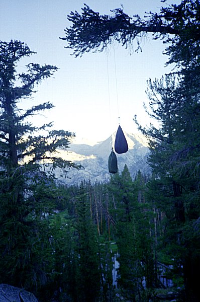 Hanging food to protect from bears